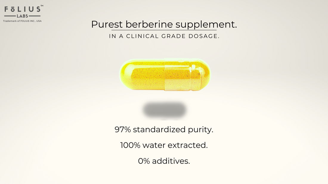 Berberine an immunity booster folius labs