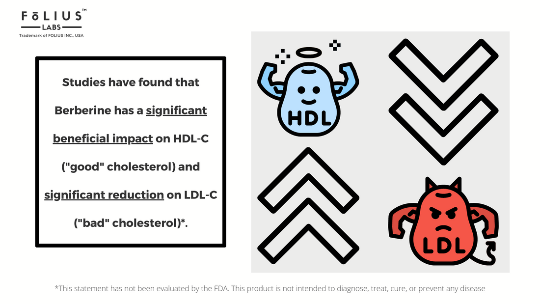 Berberine for cholesterol control folius labs