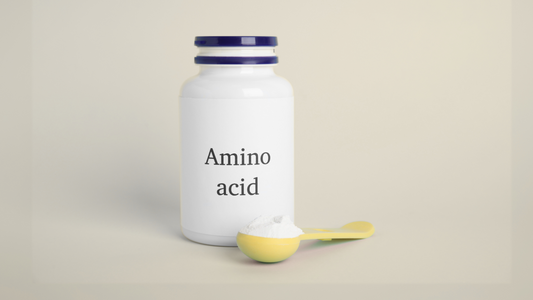 Amino Acid Series: The Building Blocks of Health and Fitness