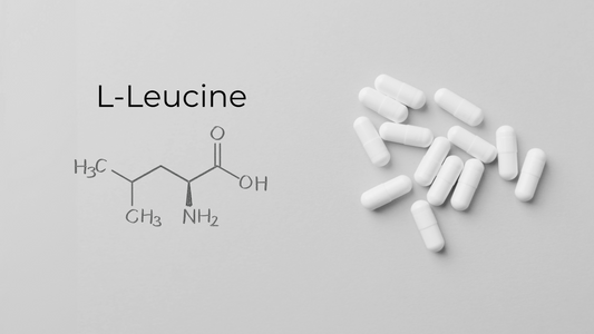 Power Up Your Muscles with L-Leucine