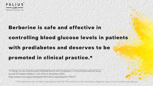 berberine for blood glucose levels folius labs