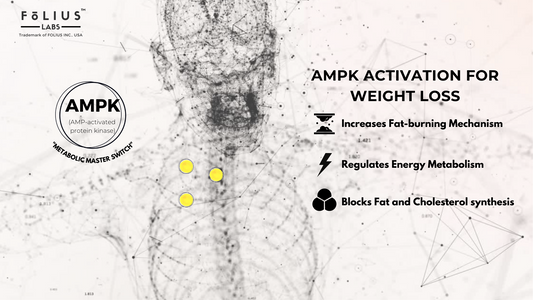 Berberine for obesity folius labs