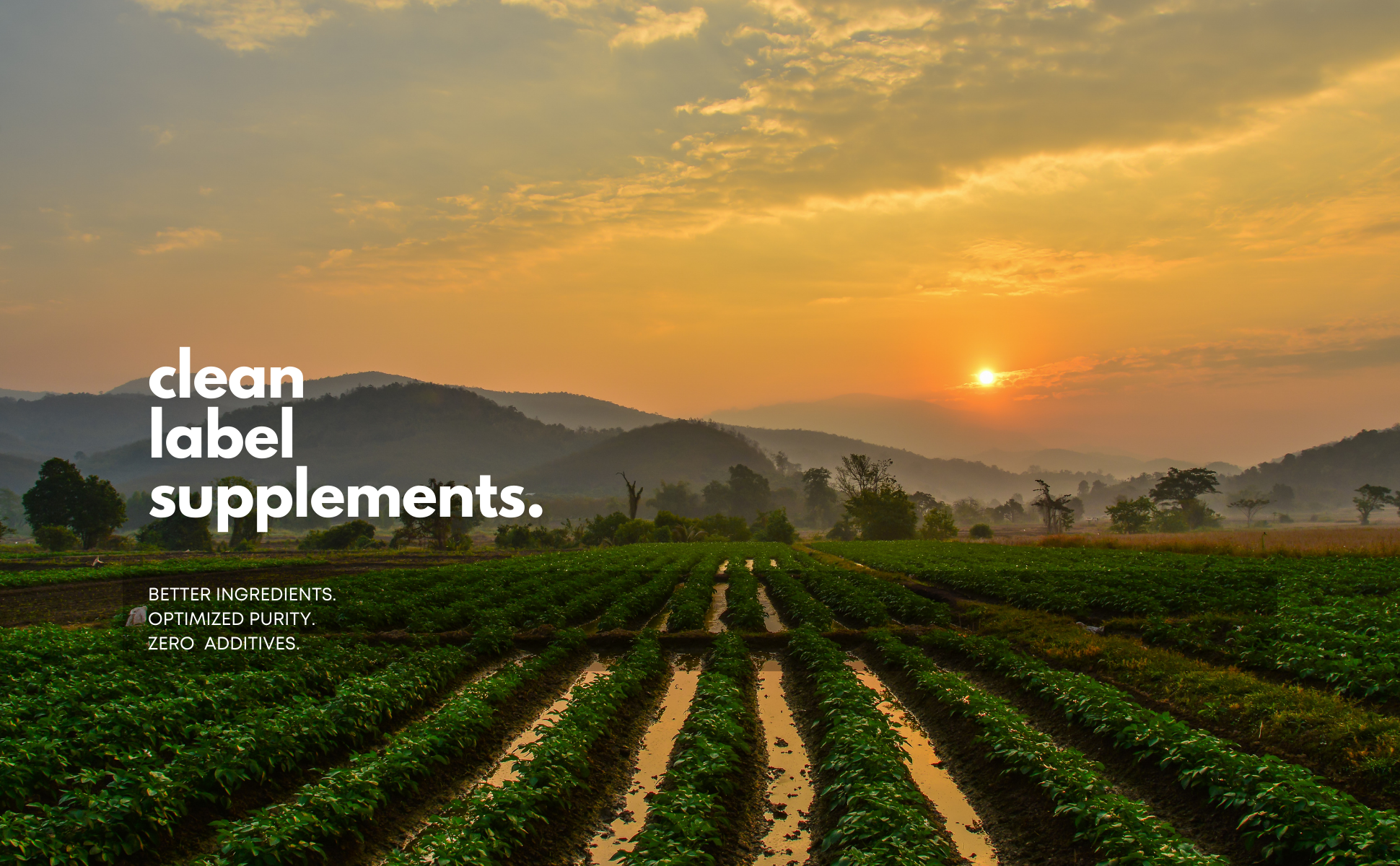 Clean label supplements: A transparency-driven demand by consumers ...