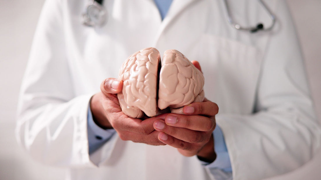 Adaptogens and Herbal Nutraceuticals for Mental Health
