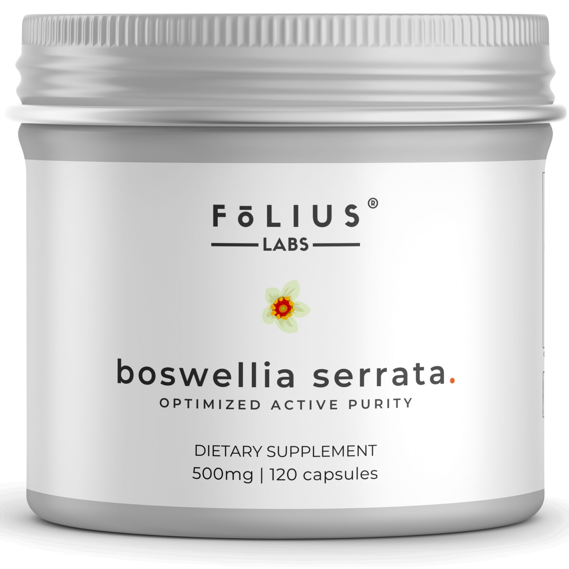 Boswellia 65% Supplements
