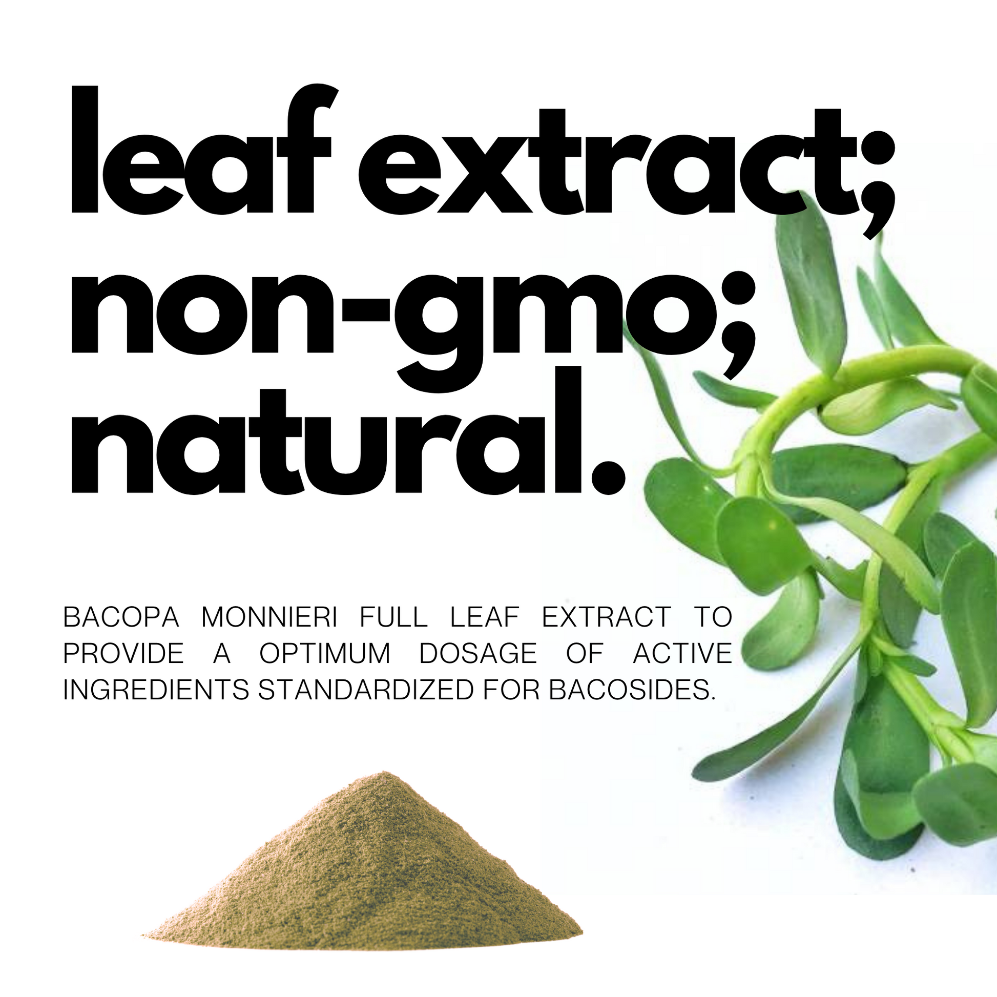 Bacopa 40% Non-GMO Natural