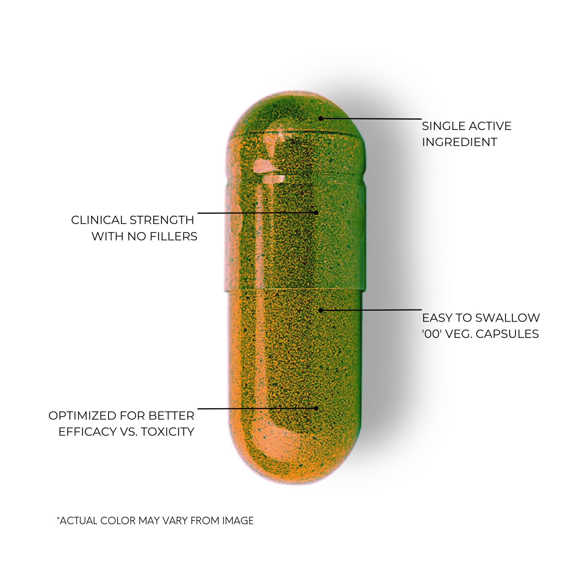 Bacopa Dietary Supplement Capsules